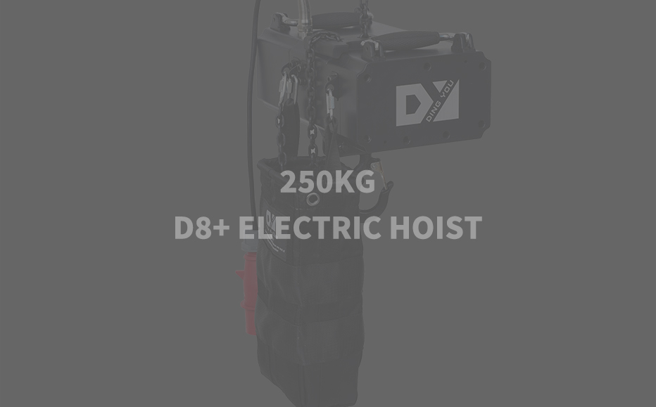 250KG D+ ELECTRIC HOIST